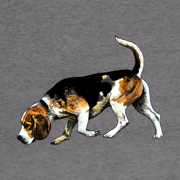 beagle by VicaVeresk